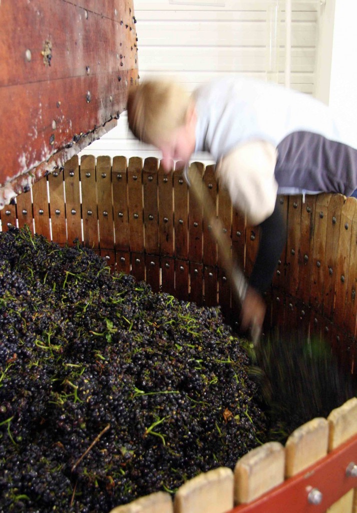 Working a traditional press at Bollinger