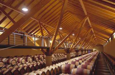 Señorio de Arinzano - barrel cellar