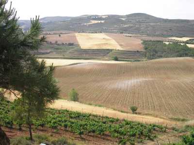 Calzadilla - panorama