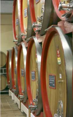 Casks of Amarone