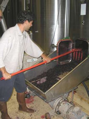 Cleaning out the vats at Château Tour des Gendres