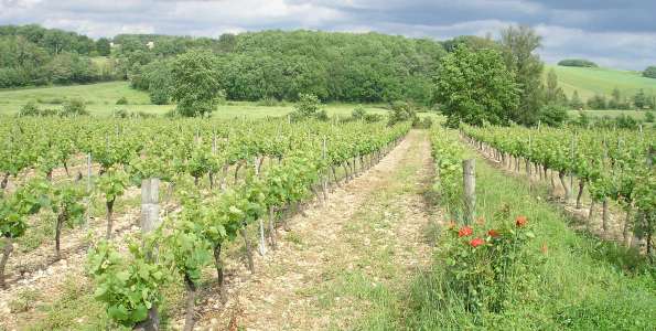 Domaine de Gineste