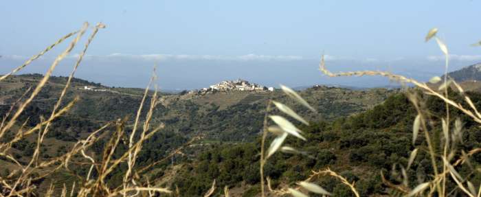 Priorat, looking towards Gratallops